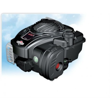 Motore Briggs&Stratton 500E OHV Albero Da 22X60 4 cv